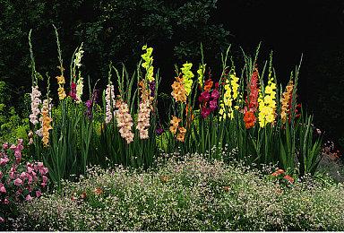 《战神：诸神黄昏》港服PSN开启预购 三种版本可选